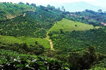 El Cuminate — Costa Rica