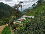 El Oasis - Colombia