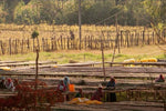 Yirgacheffe — Ethiopia